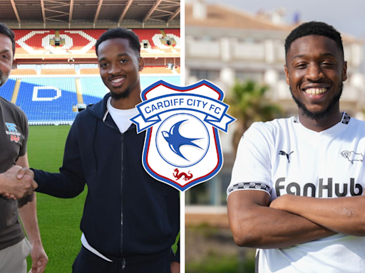 Chris Willock: The clear winners from Cardiff City's summer transfer window so far