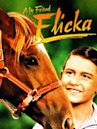 My Friend Flicka (film)