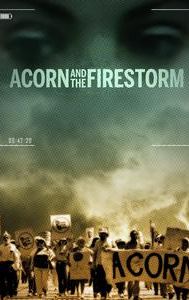 ACORN and the Firestorm