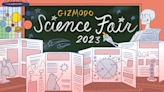 The Winners of the 2023 Gizmodo Science Fair