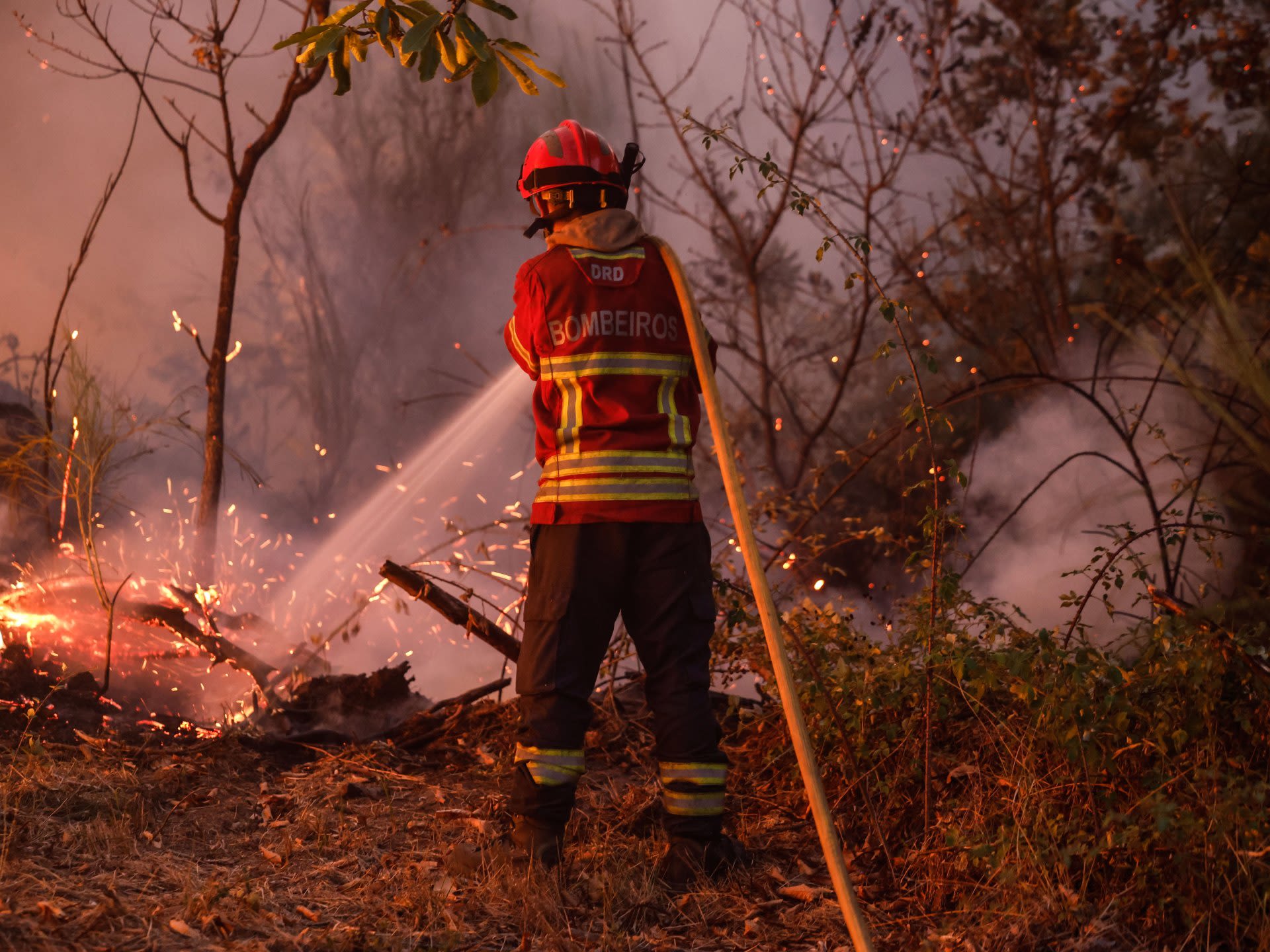 Photos: Portugal battles deadly wildfires