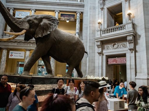 World Ocean Day events at National Museum of Natural History