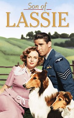 Son of Lassie