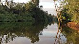 Pago por Servicios Ambientales, el programa estrella de Costa Rica para cuidar los bosques