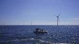 Beneath an offshore wind farm in Denmark blooms seaweed and mussels for harvesting