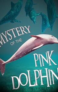 The Mystery of the Pink Dolphin