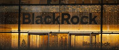 BlackRock Muscles Into Private Assets Market for Wealth Clients