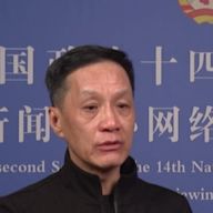 Feng Yuanzheng