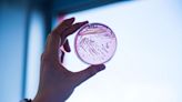 Legionella Pneumophila: ¿Puede presentarse esta bacteria en las casas o el trabajo?