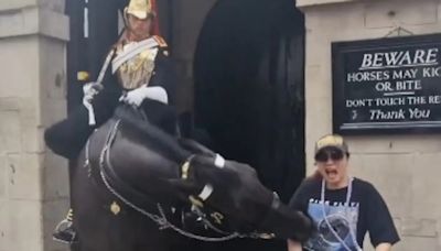 Video: Tourist Faints After King's Guard Horse In UK Bites Her While Posing For Pic