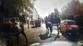 Three runaway military horses bolt through London after losing riders