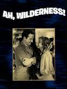 Ah, Wilderness! (film)