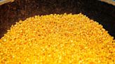 Gold prices surge on rate cut hopes, copper rebounds