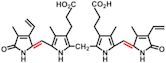 Bilin (biochemistry)