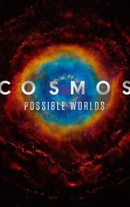 Cosmos: Possible Worlds