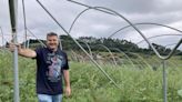 De esta finca de Picaroso salen más de tres toneladas de arándanos ecológicos: así despega la explotación de un pueblo de Grado con apenas sesenta habitantes