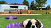 A beer for you, a park for your dog. This Macon bar is fun for dogs and humans alike