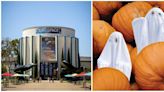Balboa Park inicia festejos de Halloween con el Pumpkin Chuckin