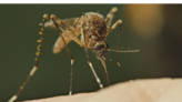 West Nile Virus detected in Dawson County