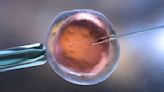 Southern Baptists vote to oppose IVF