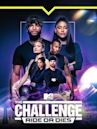 The Challenge - Season 38