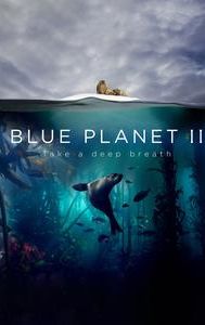 Blue Planet II