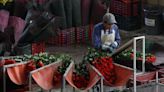 Productores garantizan abasto de flores ornamentales para el Día de la Madres