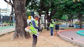 Retiran árboles en estado necrótico que permanecían en el parque Clemente Yerovi