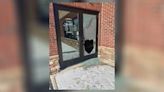 ‘They’re messed up;’ Popular local restaurant broken into, owner speaks out
