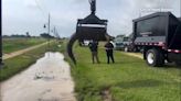 Alligator pulled from ditch with a grapple truck in Texas