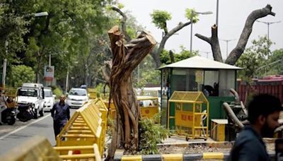 Illegal felling of trees in Ridge: Delhi govt panel notice to officials of DDA, Forest dept, Delhi Police