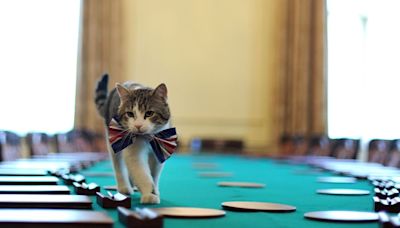 Britain's true ruler? 'Chief Mouser' Larry the Downing Street cat