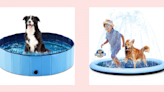 The Best Dog Swimming Pools for Lots of Fun in the Sun With Your Pup