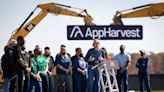 Kentucky’s AppHarvest files for bankruptcy as it looks for solutions to cash flow issues