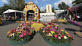 Feria de las Flores de San Ángel 2024 tendrá venta de plantas, concursos y más: ¿cuándo y dónde?