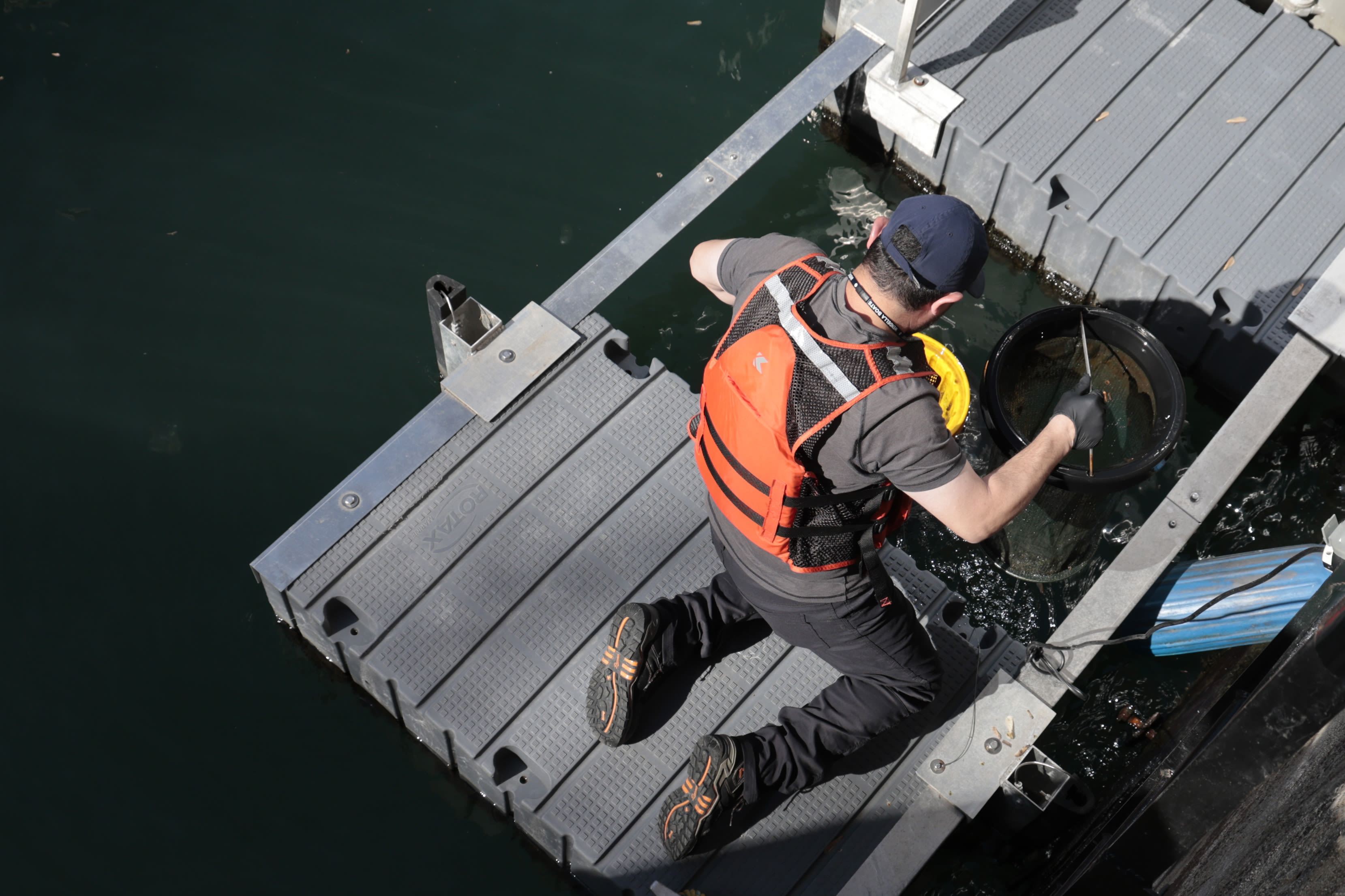 Tiny pieces of plastic pose one of the biggest threats to Chicago River wildlife and water quality