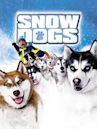 Snowdogs – Acht Helden auf vier Pfoten