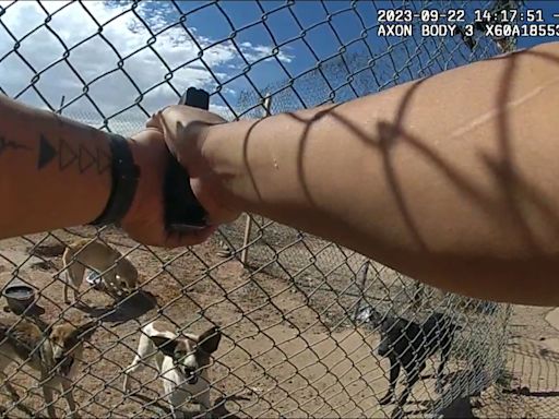 In an Arizona county without animal control services, a deputy shot 7 abandoned dogs and left their bodies by the railroad tracks
