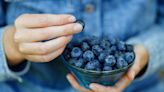 The Mind-Blowing Trick To Picking the Sweetest Blueberries Every Time