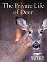 The Private Life of Deer