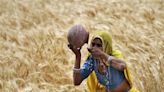 India has lost 70 million hectares of farmland since 2015