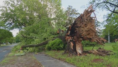 Rock Hill thunderstorm had 90 mph winds, storm investigators find