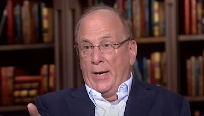BlackRock CEO Larry Fink has an important message for the next wave of US retirees — here's how he wants to solve the country's retirement crisis