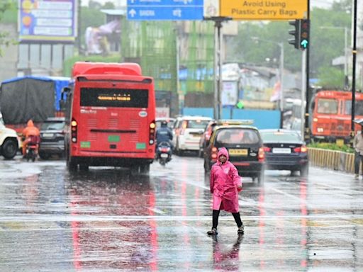 Maharashtra weather update: IMD issues yellow alert till July 23 in Mumbai; heavy rain likely in Thane and Palghar