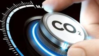 Navigating carbon markets: Strategies for sustainable businesses