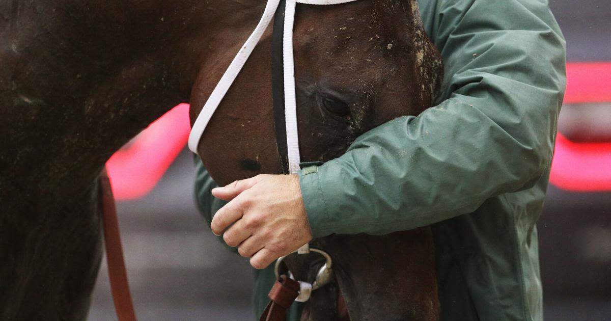 Kentucky Derby deaths bring changes ahead of Saturday's race