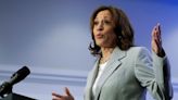 Tennessee Democratic delegates vote to endorse VP Kamala Harris