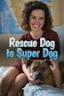 Rescue Dog to Super Dog