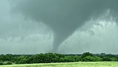 14 tornadoes in five North Texas counties this past weekend according to NWS