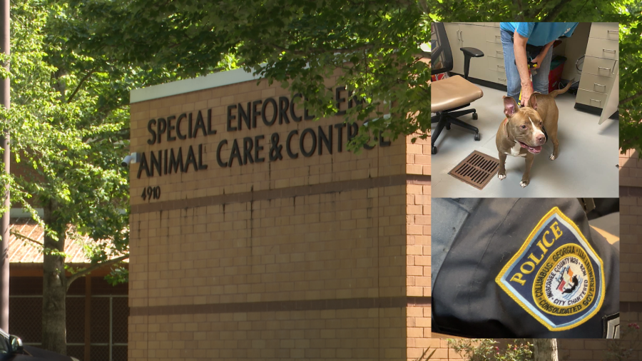 CPD to investigate Columbus Animal Control following viral euthanasia video